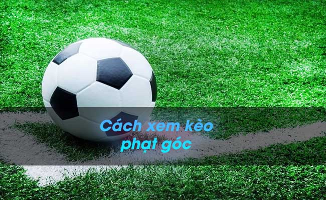 Kèo phạt góc là gì? Cách xem kèo phạt góc chuẩn xác