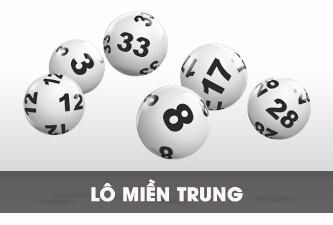 Kinh nghiệm nuôi lô miền Trung cực chuẩn dành cho người mới