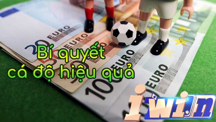 IWIN Cá ĐỘ BÓNG ĐÁ